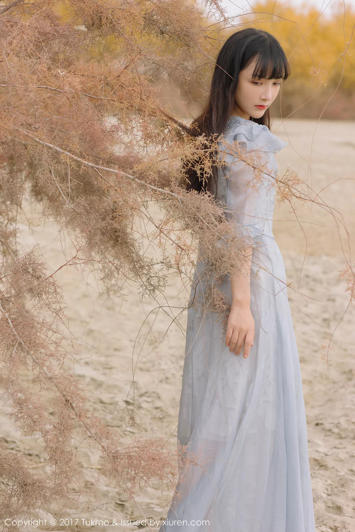 [BoLoli兔几盟]第104期之应写真 NO.6