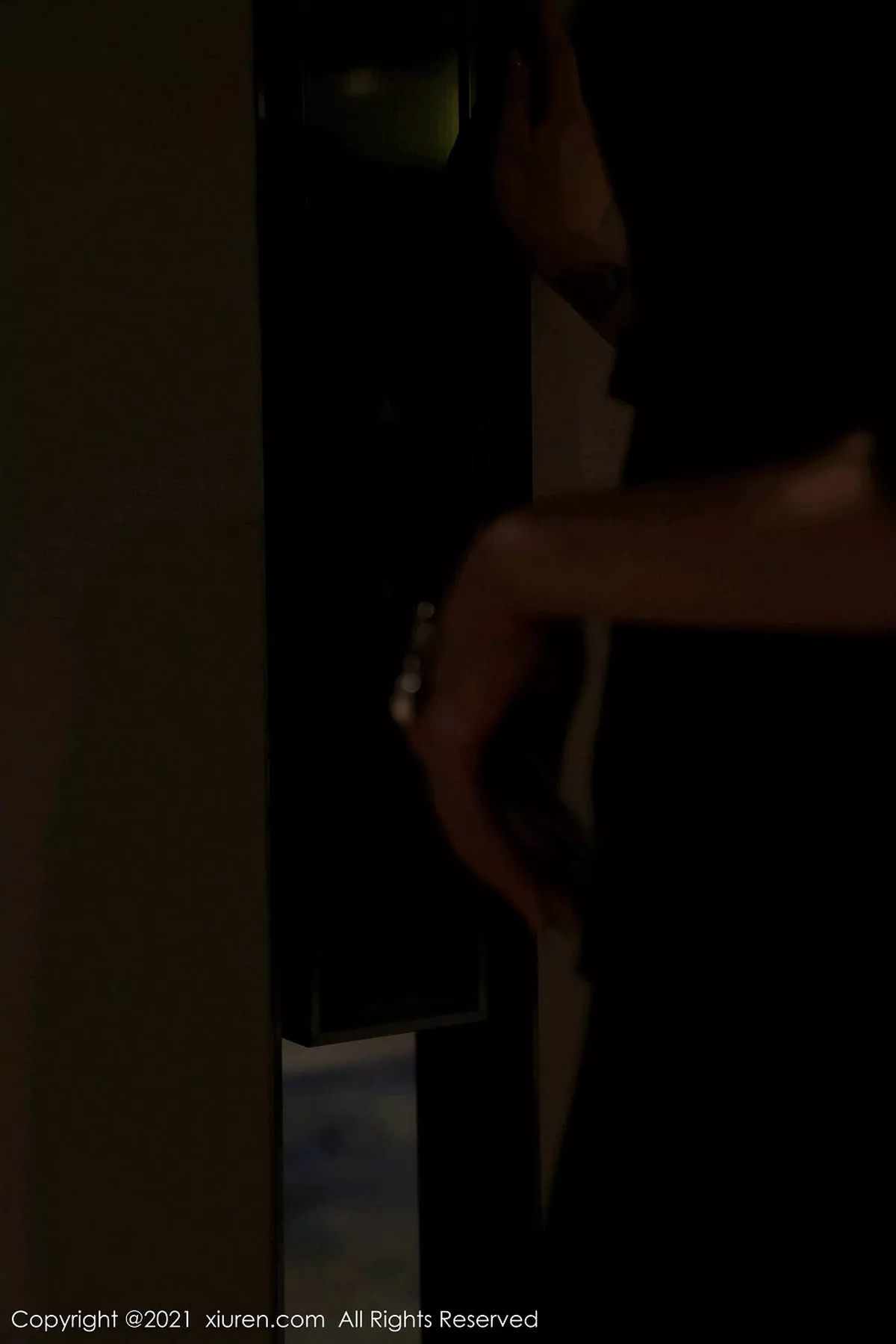 [XiuRen秀人网] 2021.01.26 No.3043 玉兔miki [80P] NO.9