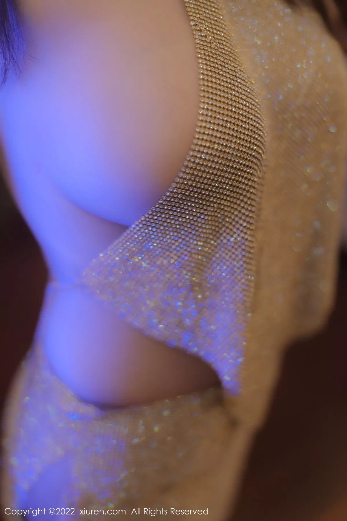 [XiuRen秀人网] 2022.12.26 No.6044 朱可儿Flora 真空金缕衣 [74P] NO.4