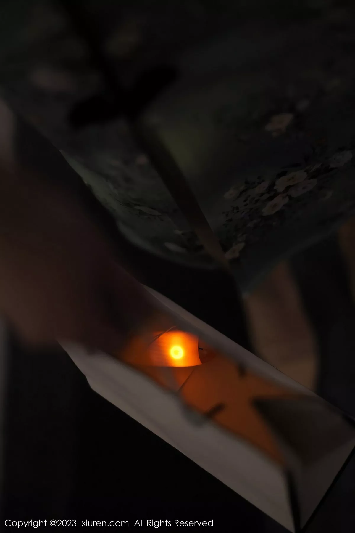 [XiuRen秀人网] 2023.03.24 No.6464 Arude薇薇 旗袍美腿 [69P] NO.3