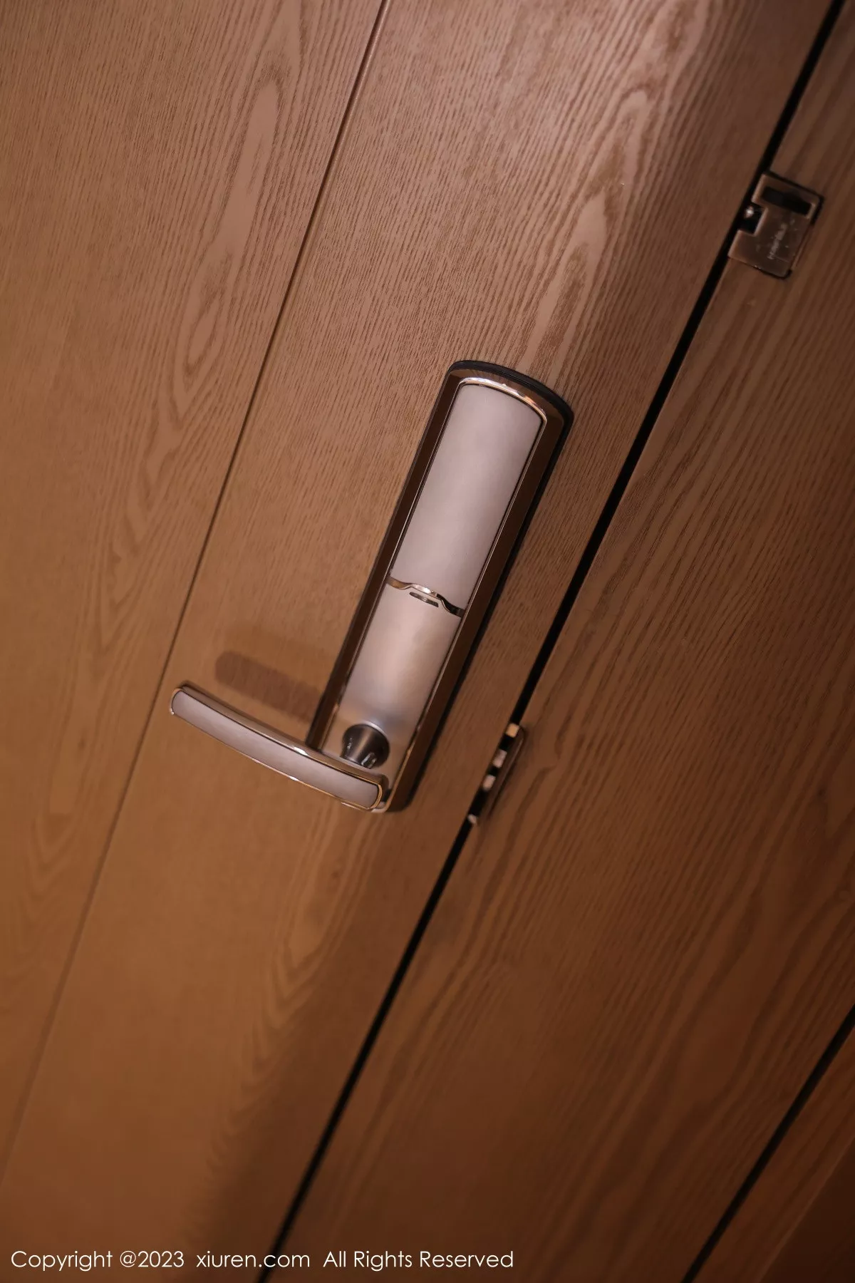 [XiuRen秀人网] 2023.08.15 No.7237 幼幼 女仆美腿 [103P] NO.1