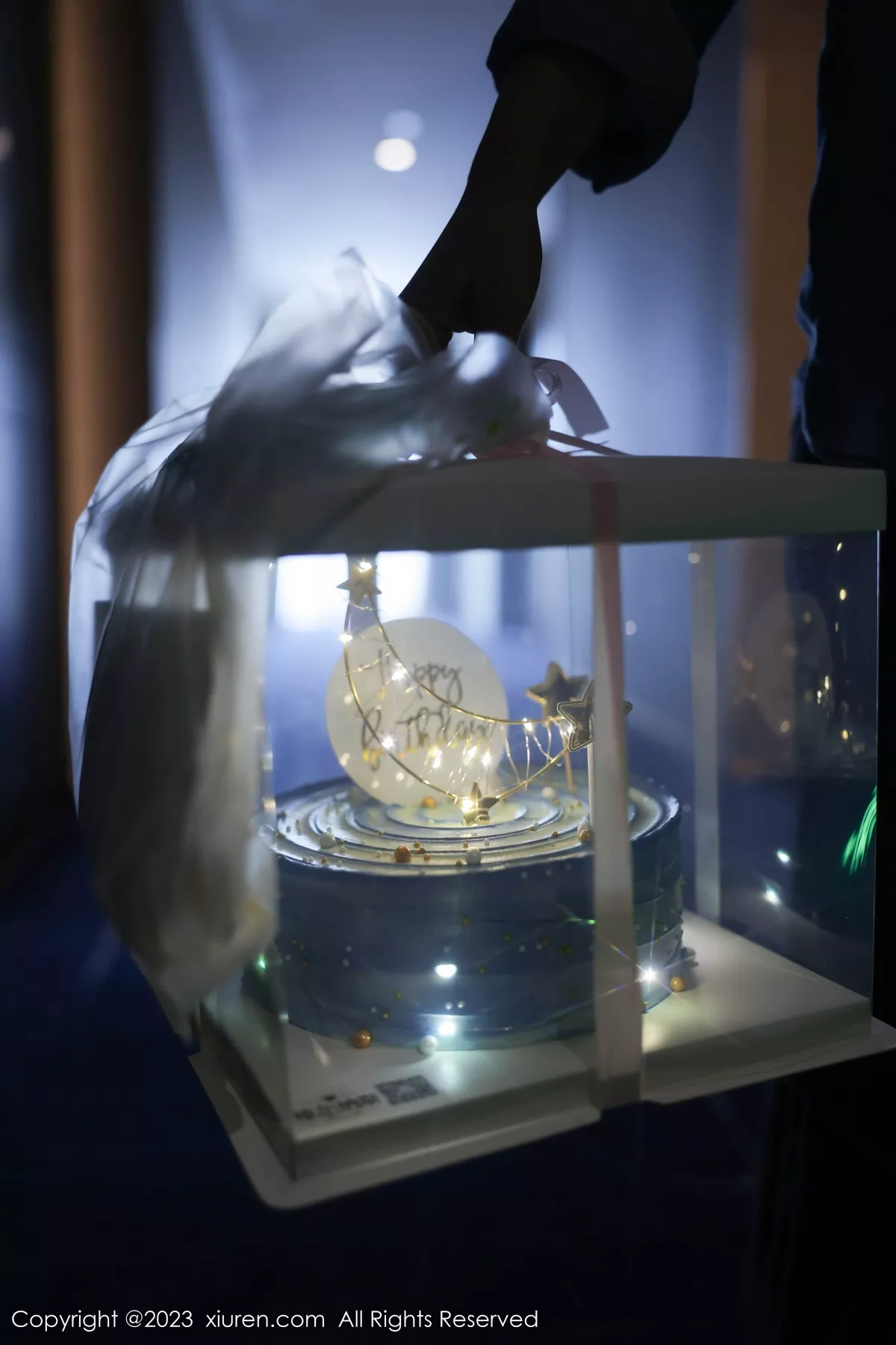 [XiuRen秀人网] 2023.09.06 No.7348 幼幼 生日美腿 [80P] NO.2