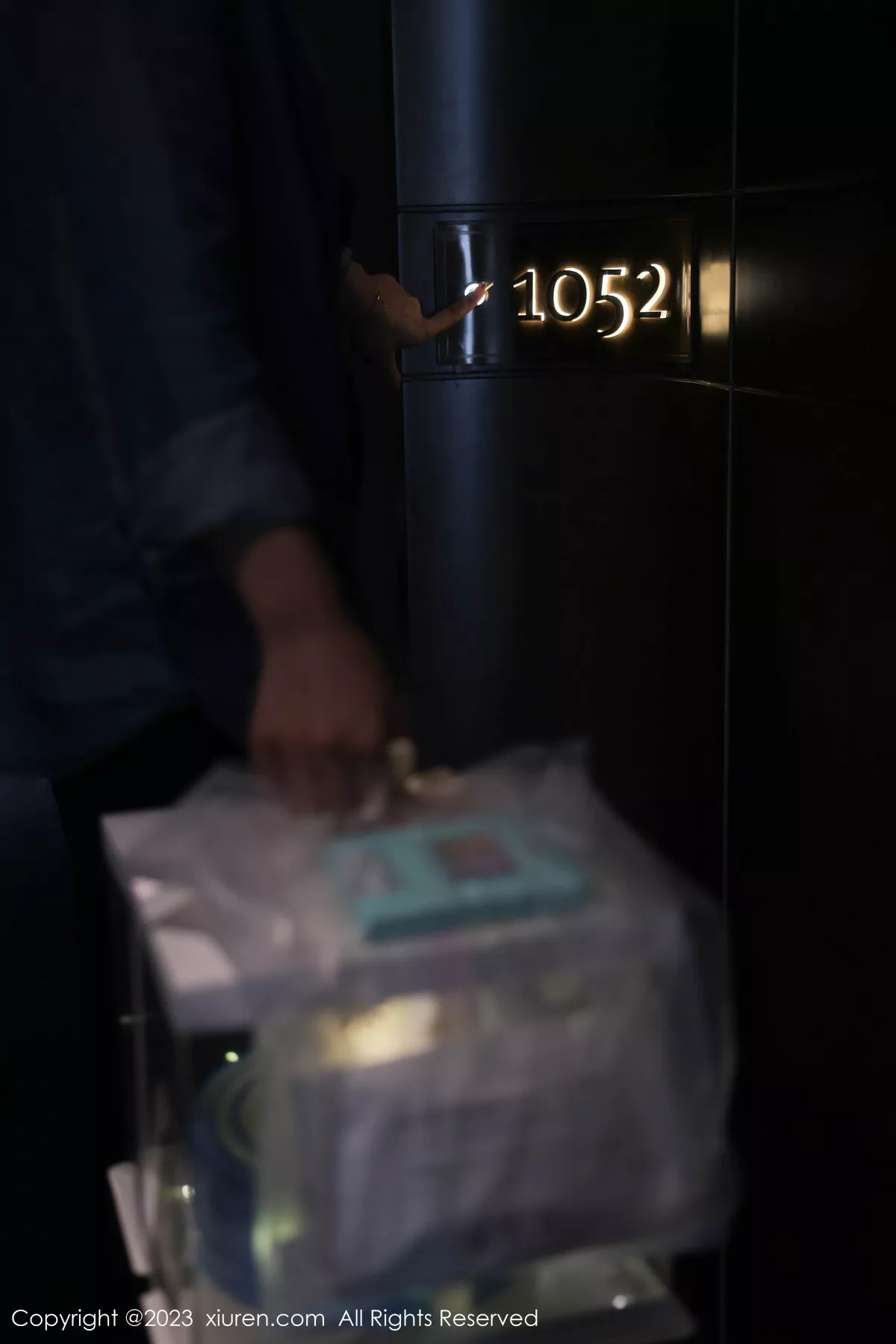 [XiuRen秀人网] 2023.09.06 No.7348 幼幼 生日美腿 [80P] NO.3