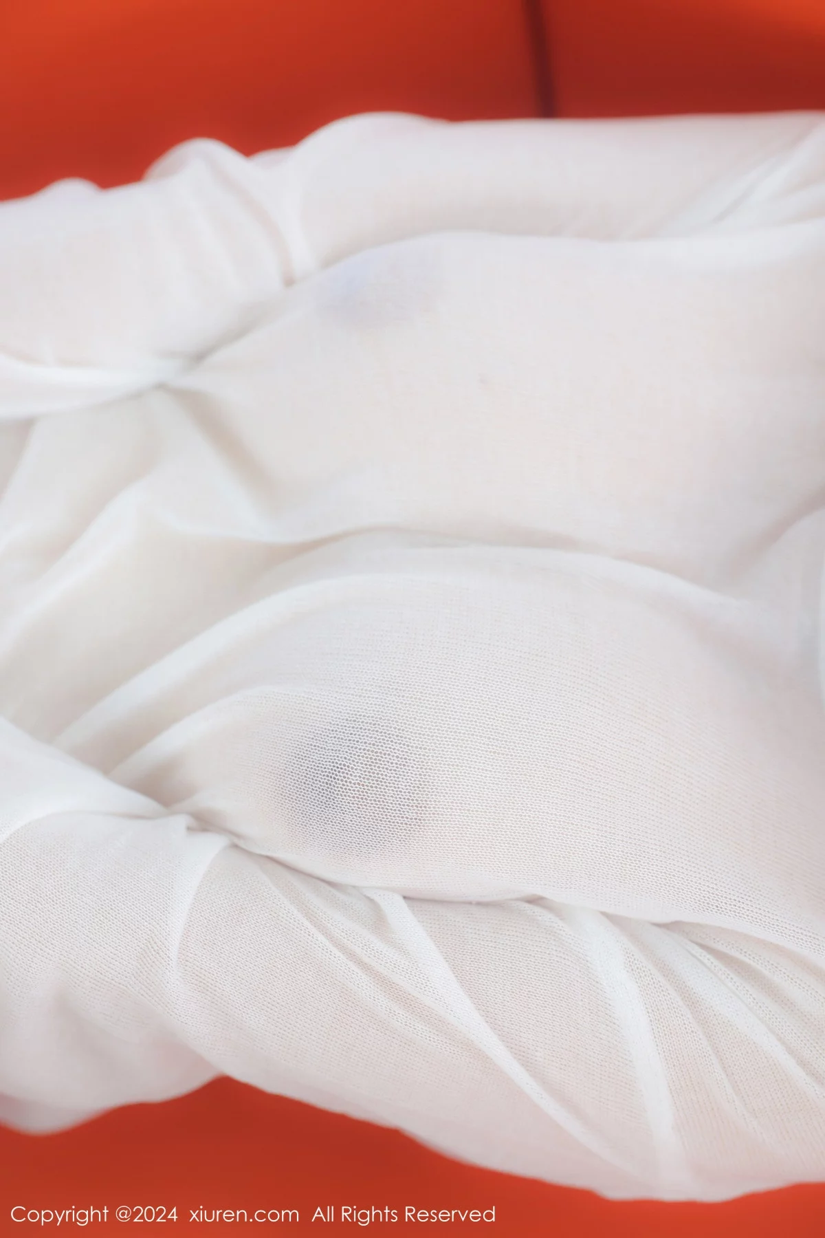 [XiuRen秀人网] 2024.01.02 No.7898 小薯条nienie 游艇美腿 [76P] NO.8