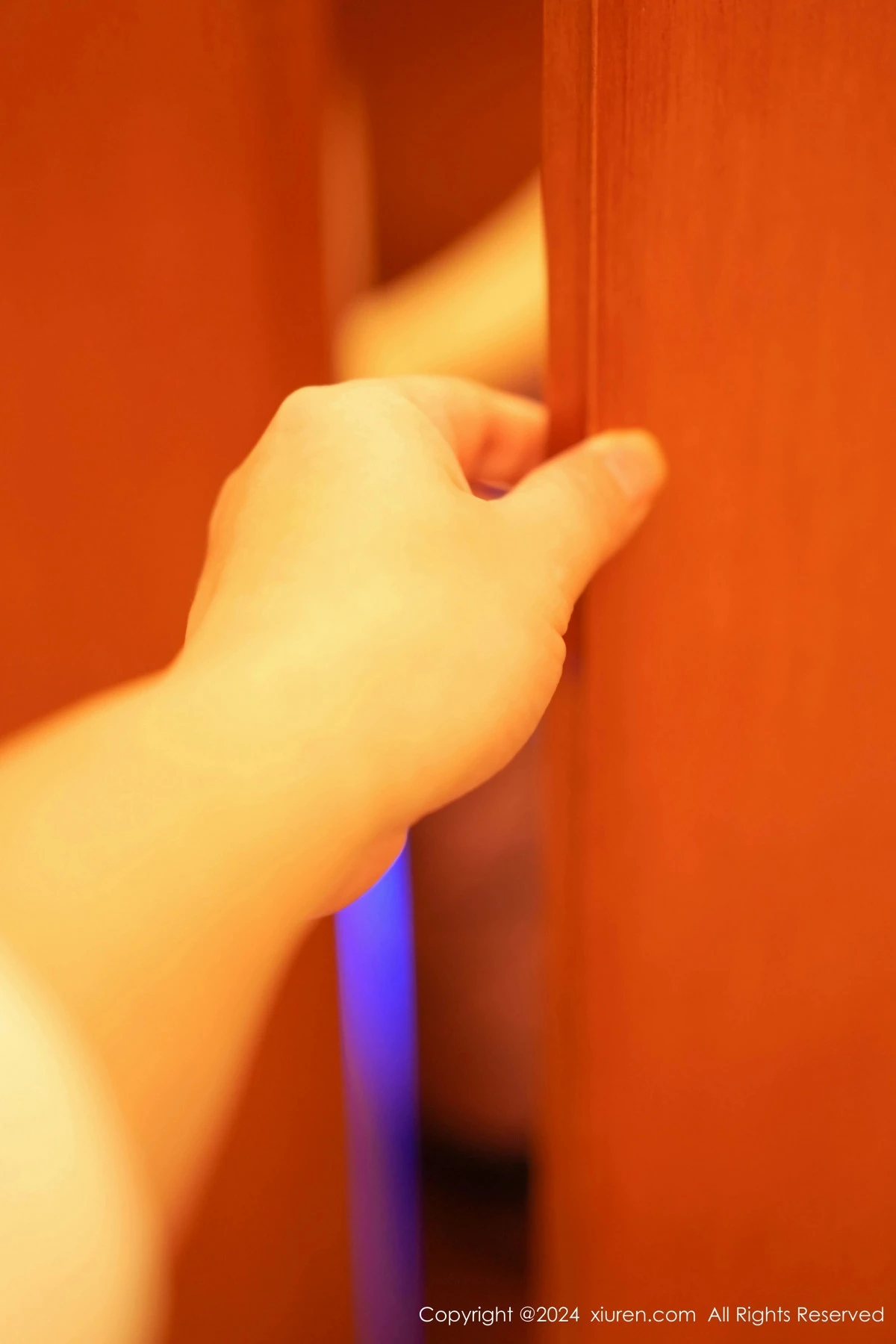 [XiuRen秀人网] 2024.02.02 No.8054 谭小灵 美臀性感 [74P] NO.2