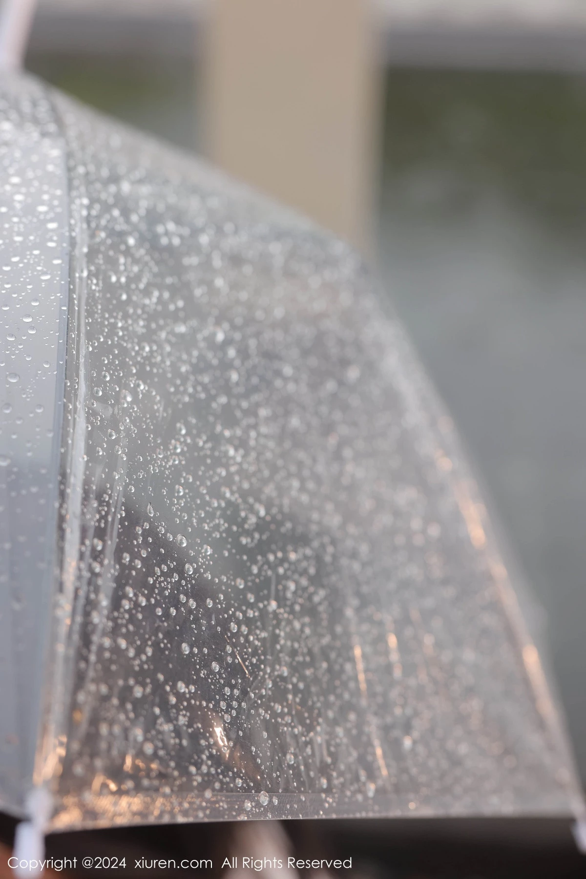 [XiuRen秀人网] 2024.07.19 No.8885 桃妖夭 剧情主题 [92P] NO.2