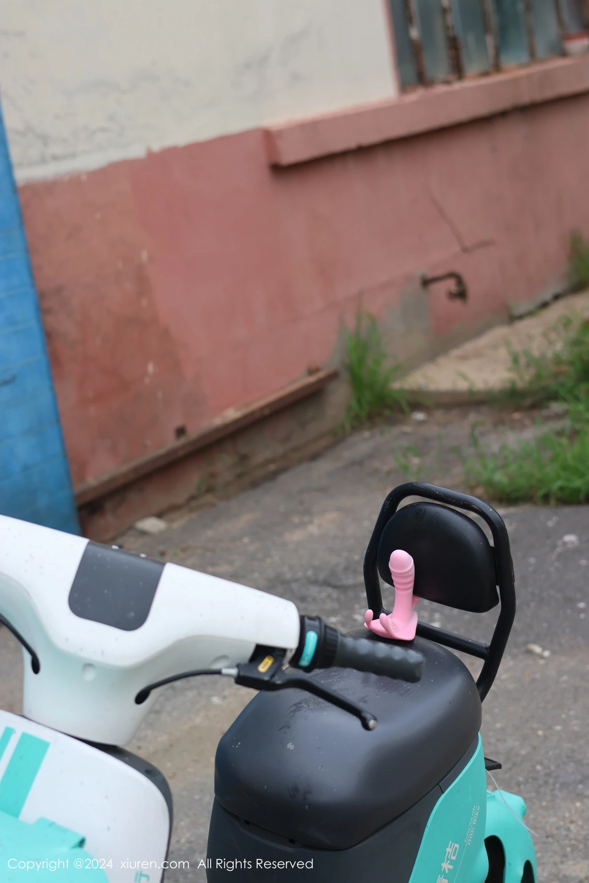 [XiuRen秀人网] 2024.08.16 No.9024 小薯条nienie 美乳性感 [89P] NO.1