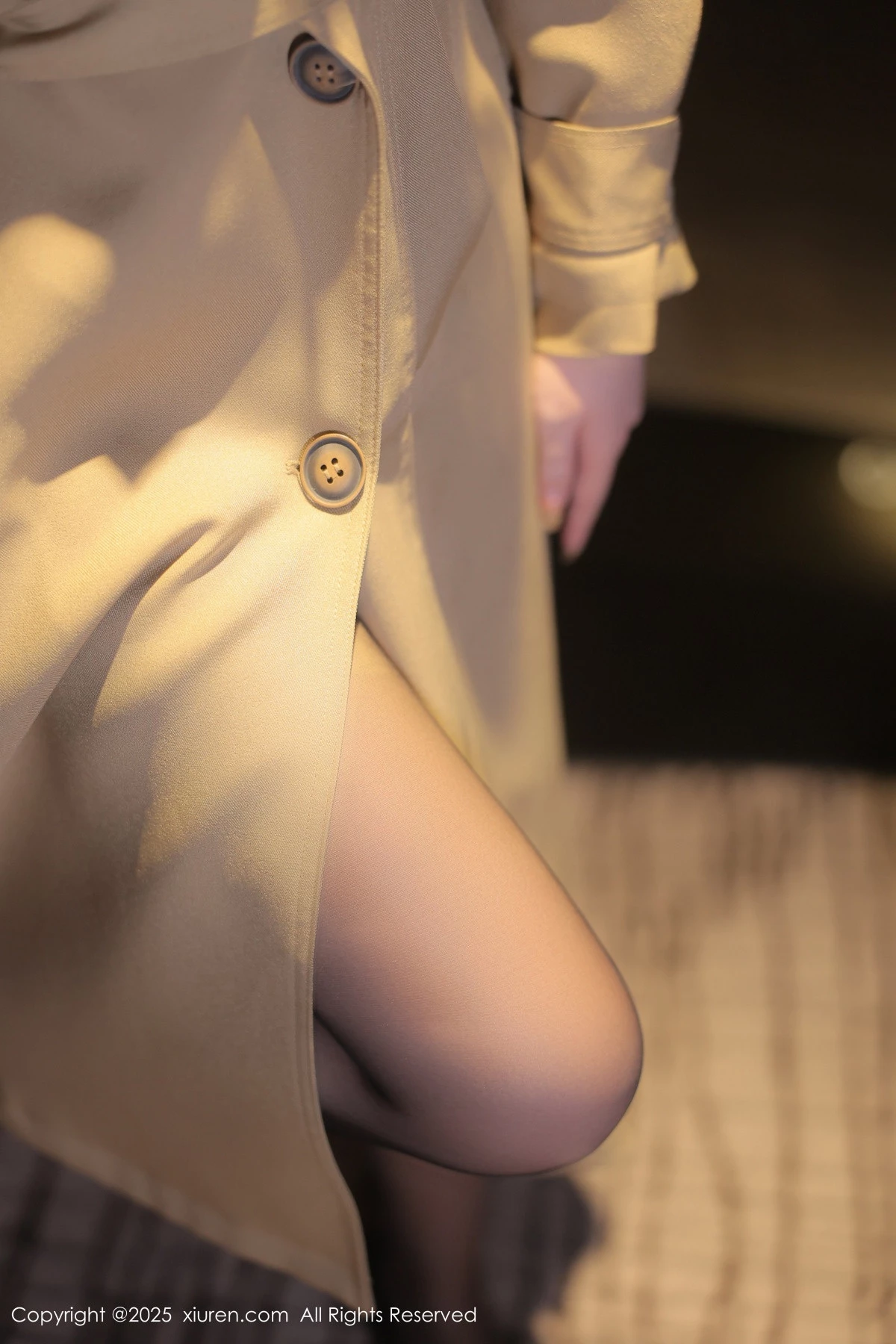 [XiuRen秀人网] 2025.01.15 No.9758 希雅sia 黑丝美腿 [76P] NO.2