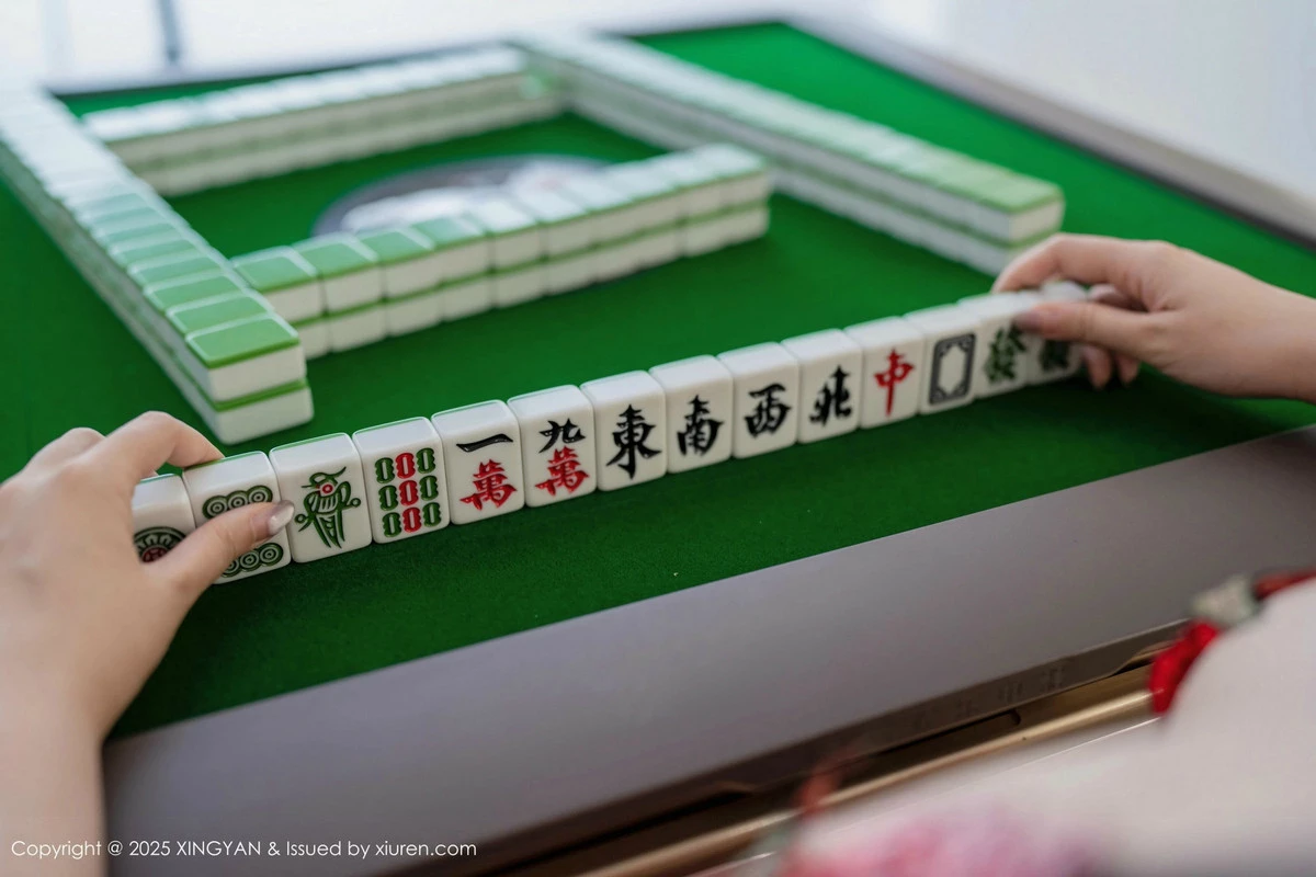 [XINGYAN星颜社] 2025.02.13 VOL.308 袁圆 丝袜美臀 [72P] NO.2