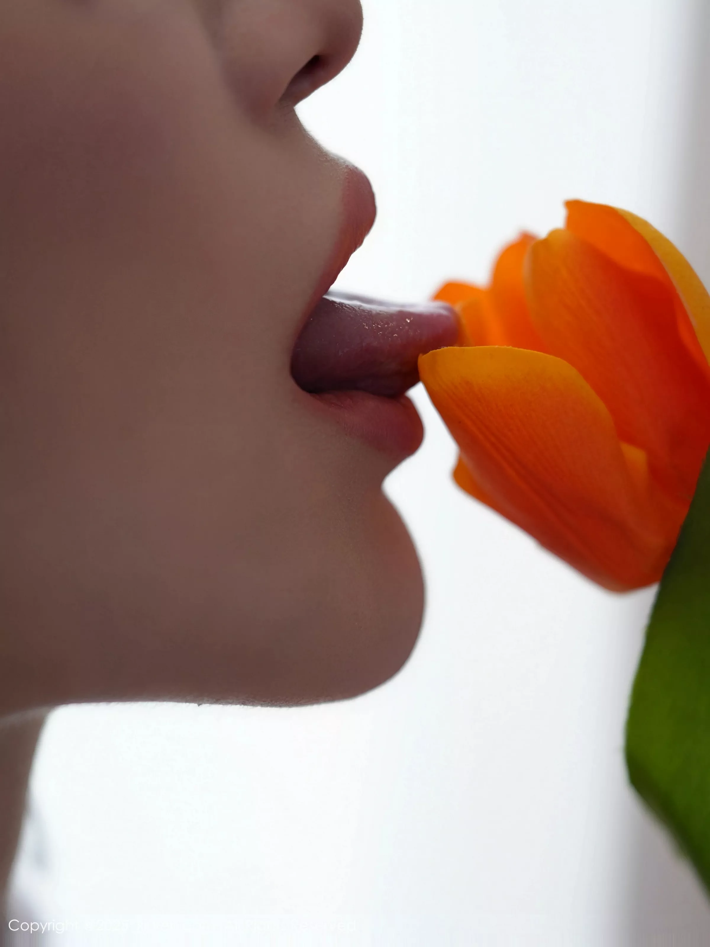 [XiuRen秀人网] 2025.06.16 No.10416 白露lulu 粉色情趣 [85P] NO.3